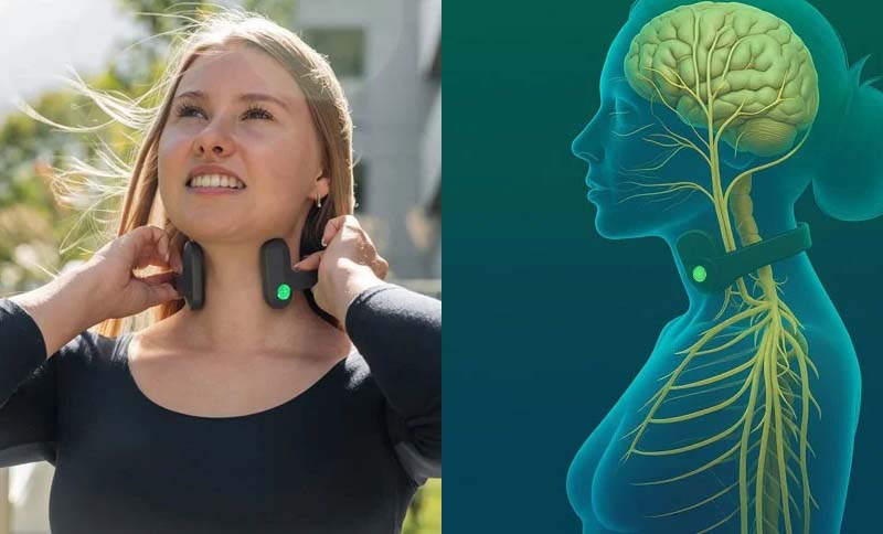 pic2 Best ​Vagus Nerve Stimulator 2026