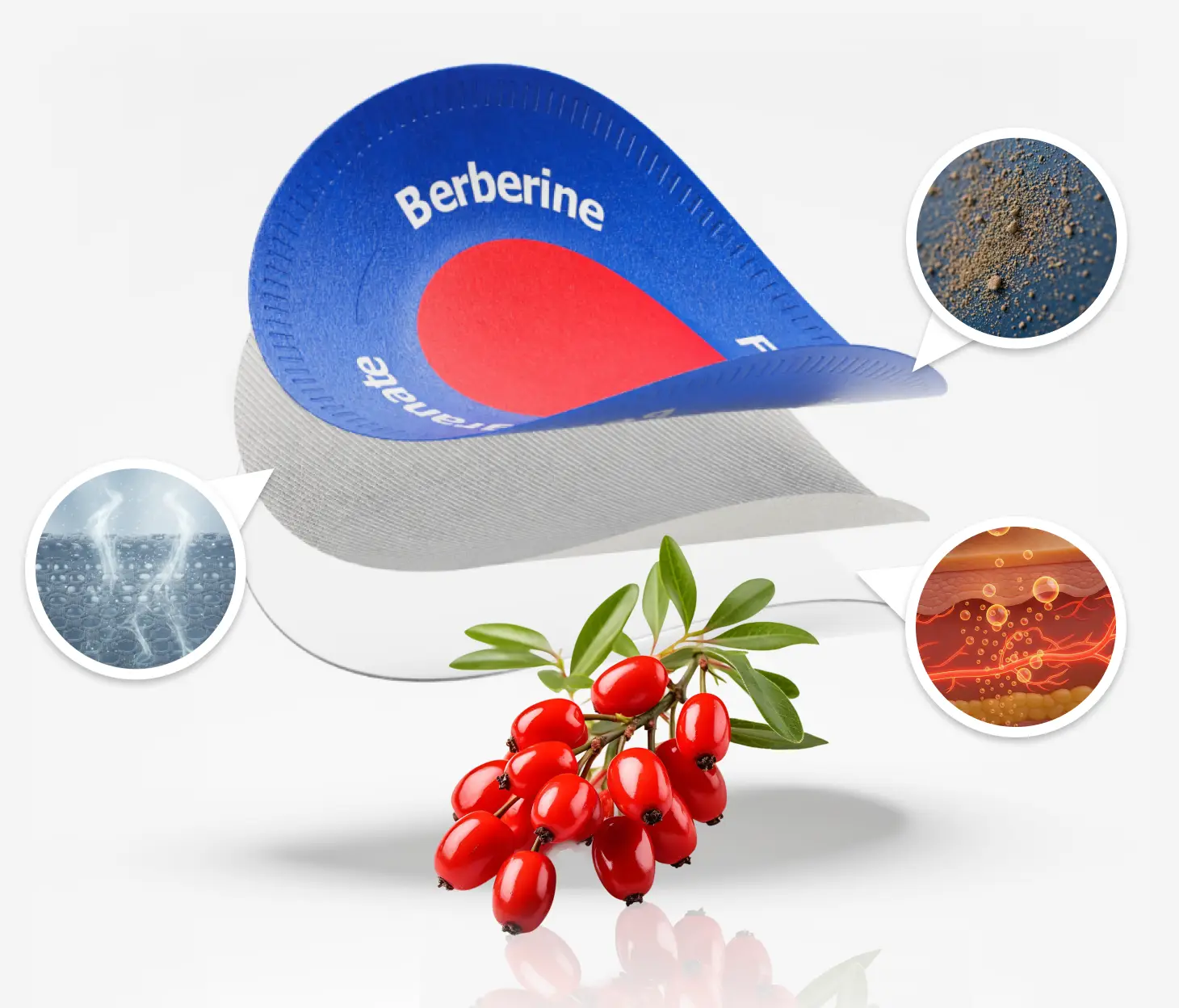 patch-how-it-works-ingridients ​​​​Best ​Berberine Patches