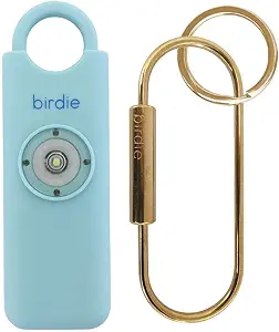 10003 Best Personal Security Devices for women